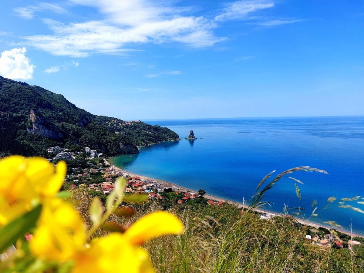 Dantina Agios Gordios Appartement *